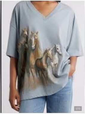 NWOT Daydreamer Pale Blue Wild Horses V-Neck Tee